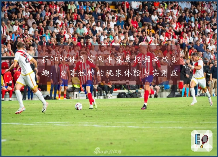 在6686体育官网中深度挖掘游戏乐趣，分享独特的玩家体验与实用技巧